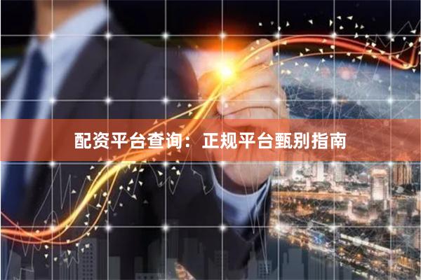 配资平台查询：正规平台甄别指南
